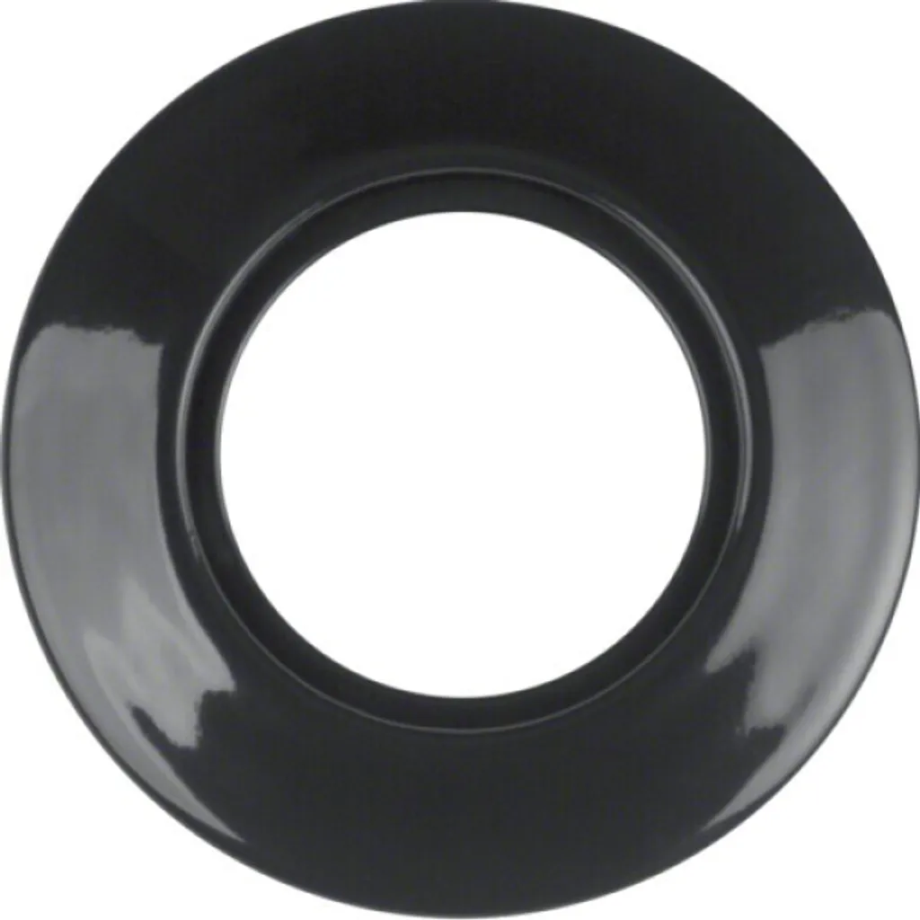 Cadre Porcelaine Berker 138165 Série 1930 Noir Brillant Finition SW
