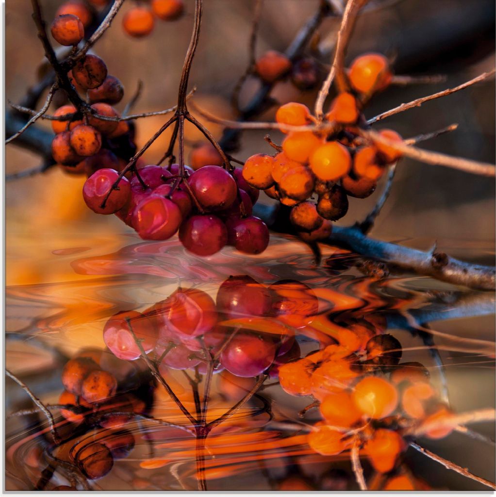 ARTland Glasbild Rote Beeren - Wildbeeren Größe: 50x50 cm