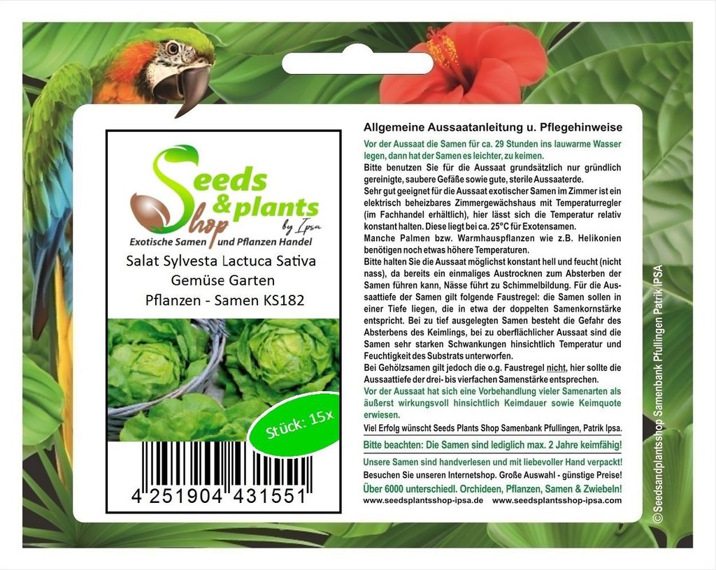 15x Salat Sylvesta Lactuca Sativa Gemüse Garten Pflanzen - Samen KS182