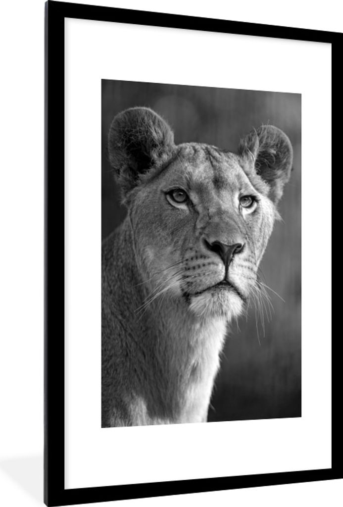 MuchoWow MuchoWow Gerahmtes Poster Porträt einer jungen Löwin vor verblasstem Hintergrund - schwarz und weiß 60x90 cm - Poster mit zchwarzem...