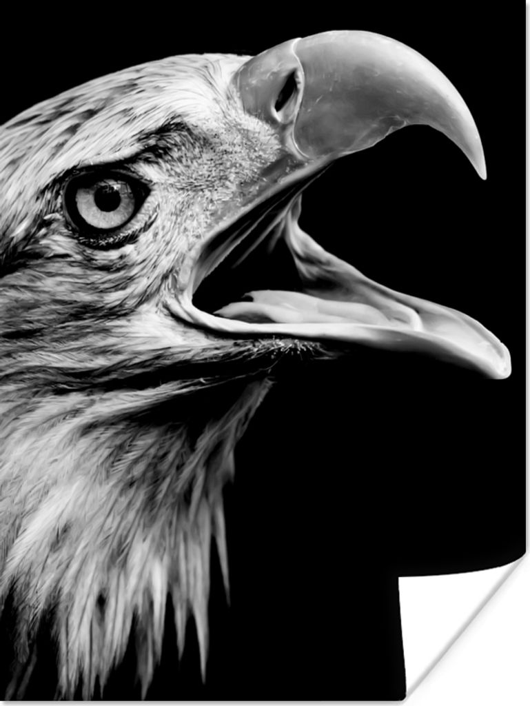 MuchoWow Poster Adler - Porträt - Raubvögel - Schwarz - Weiß - Vogel 30x40 cm - Wandplakat - Poster Kinderzimmer