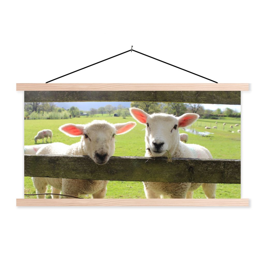 MuchoWow® Textilposter Schafe - Tiere - Bauernhof 120x60 cm Produktbild 
