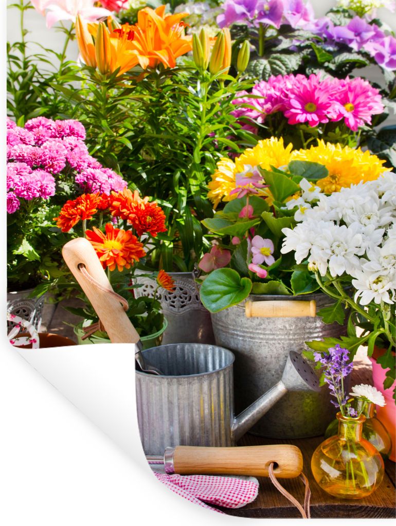 MuchoWow - Faltenfrei