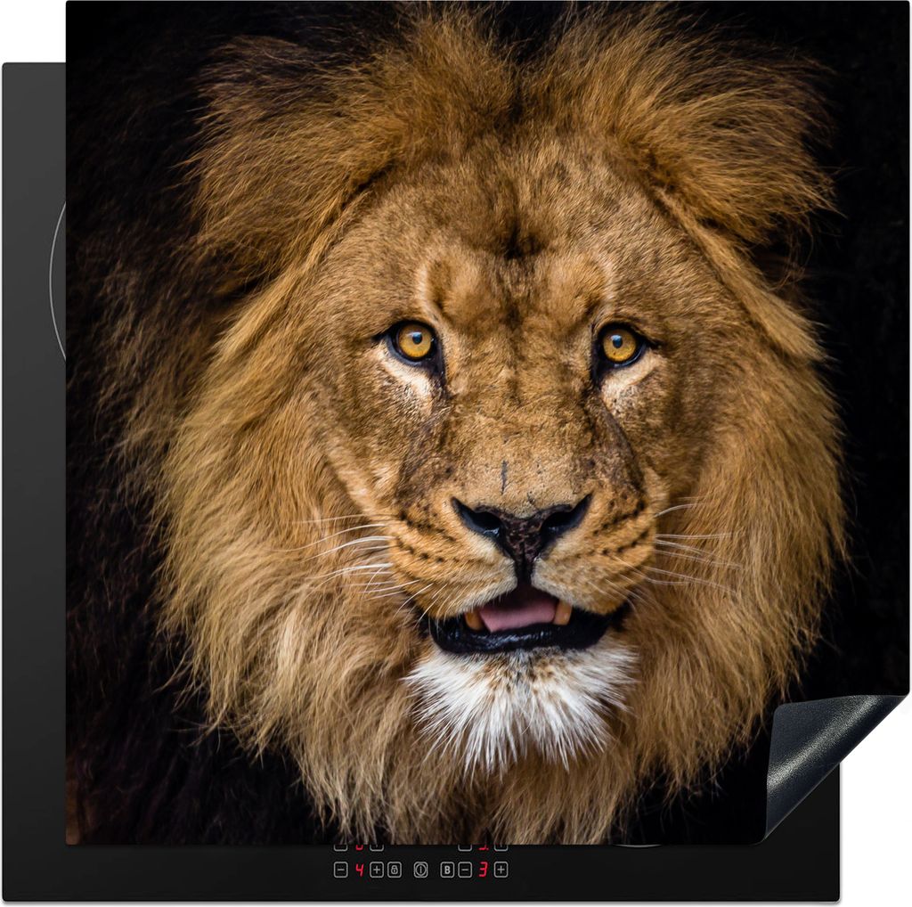 KitchenYeah Herdabdeckplatte Löwe - Porträt - Schwarz - Tiere , 78x78cm, Küche Deko, Glaskeramikkochfeld Herdabdeckung, Abdeckplatte fùr Koch...