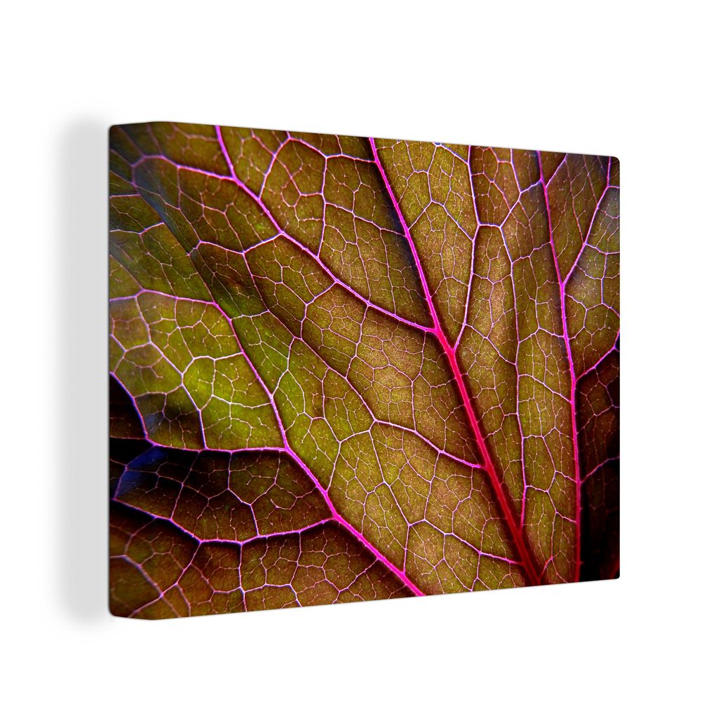 OneMillionCanvasses - Leinwandbilder - 80x60 cm - Große rote Adern in einem grünen Blatt - Vlies Leinwandbild - Wandbilder Wohnzimmer - Schlafzim...