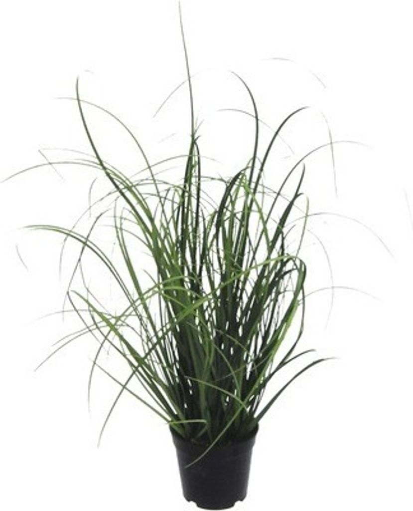 Kunstbusch Gras Kunststoff Höhe: 50 cm grün Produktbild 