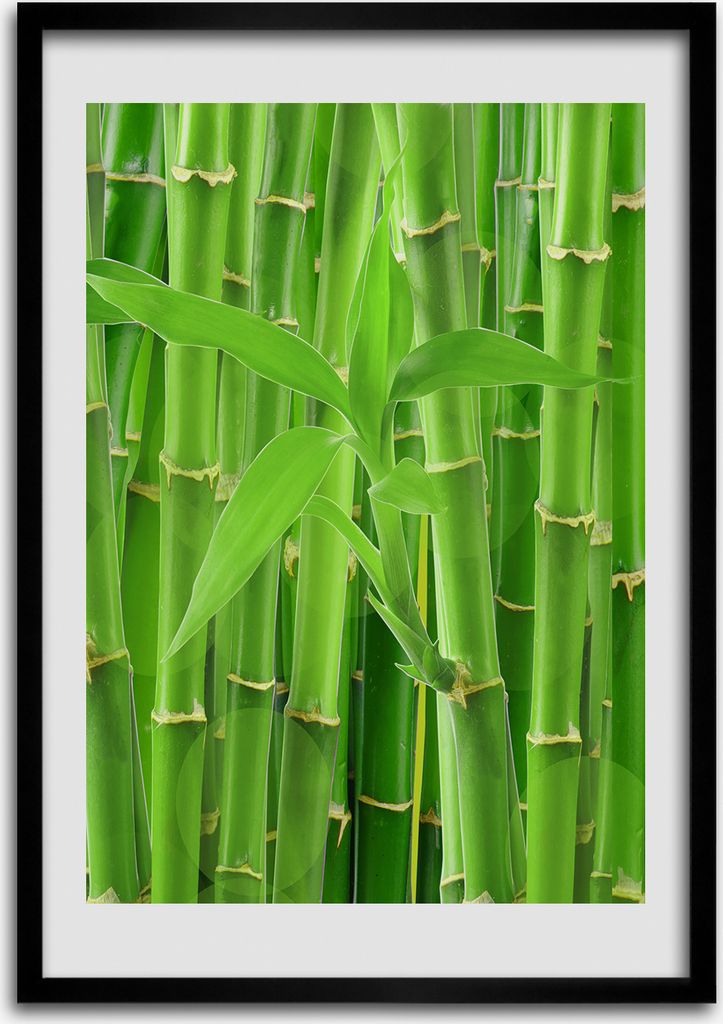 Bild - Bilderrahmen - 50 cm x 70 cm - MDF - Rahmen - Wandkunst Bambuswald