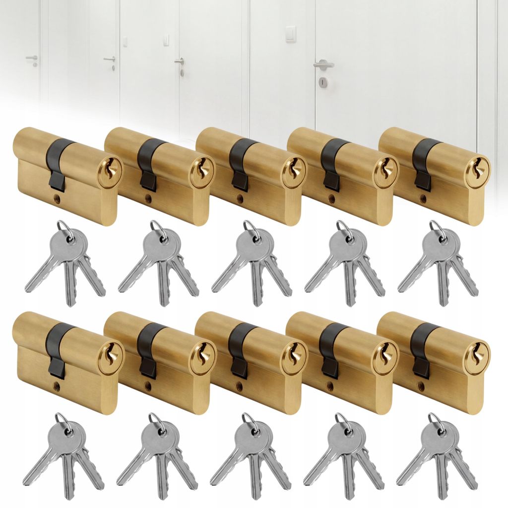 10 inserti per porte 30/30 per sistemi a chiave singola Immagine del prodotto 