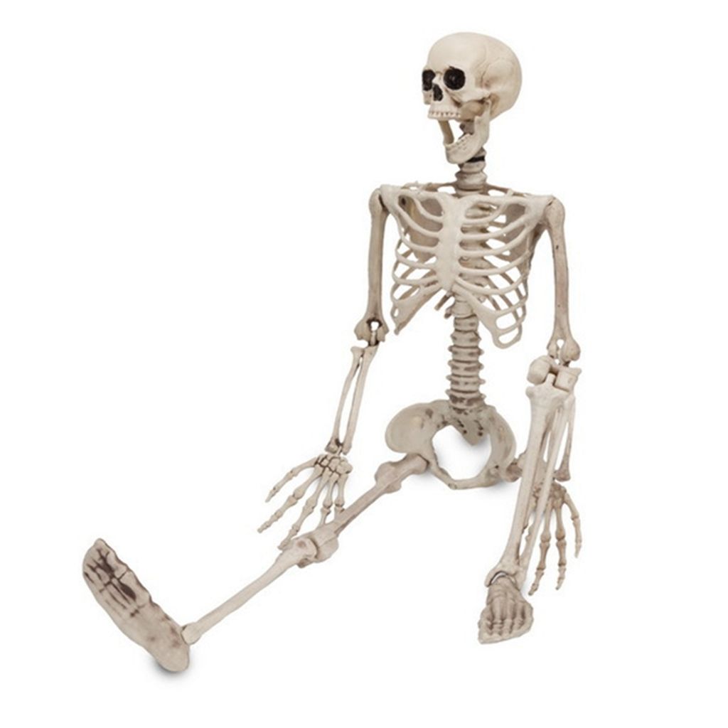 Bewegliches Skelett Halloween Party-Deko weiss 90 cm , günstige Halloween  Partydeko bei HorrorKlinik