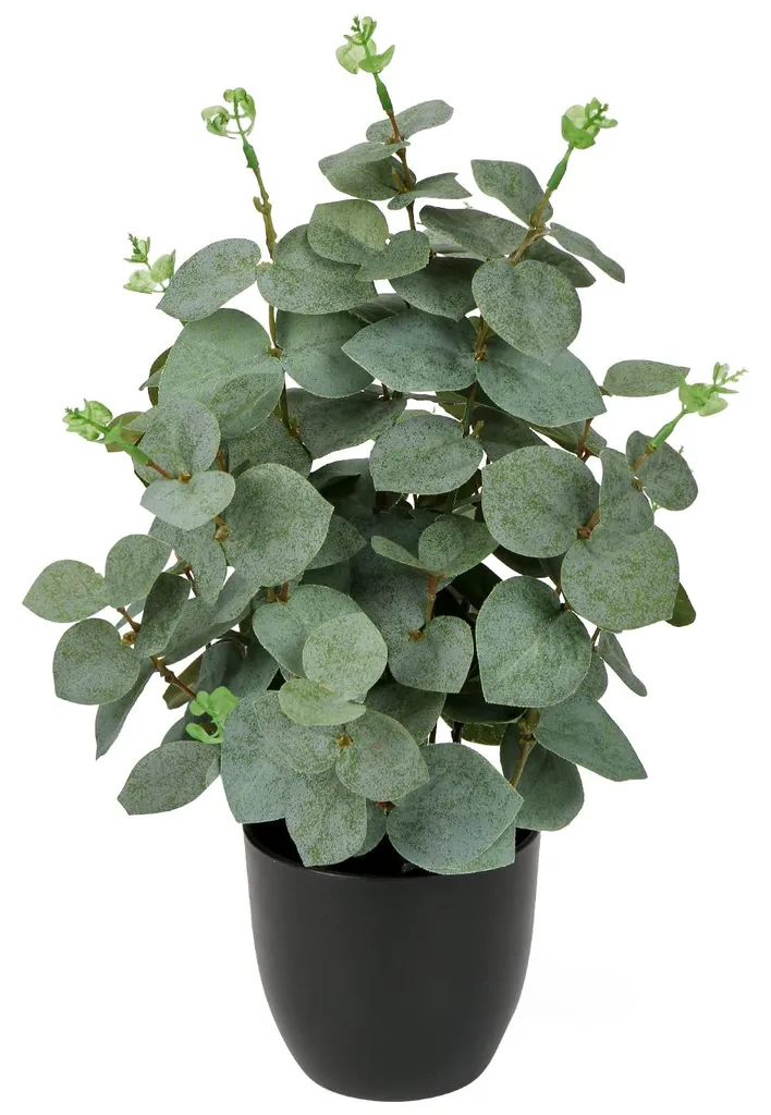 Décoration eucalyptus artificiel pour salon et salle de bain en pot noir