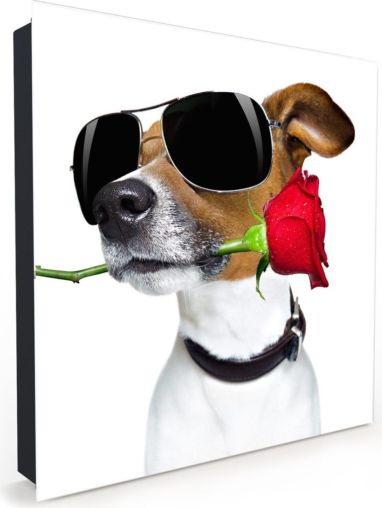 Nachbildung-Schlüsselkasten, Magnetpinnwand und Memoboard mit Glasfront Motiv Hund mit Rose und Brille
