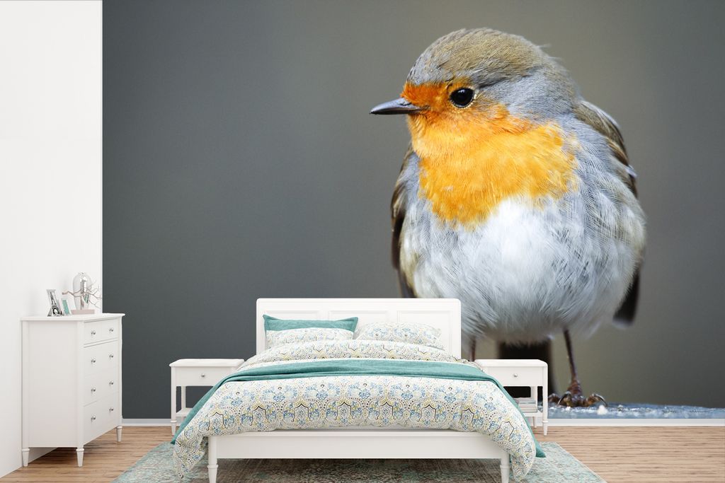 MuchoWow Fototapete für Wohnzimmer oder Schlafzimmer Wandtapete Vinyl Motivtapete Nahaufnahme eines Rotkehlchens - 330x220 cm - Fototapeten