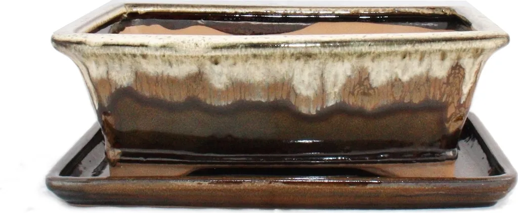 Pot de Fleur Bonsaï Rectangulaire avec Drainage et Soucoupe 25,5 cm G93