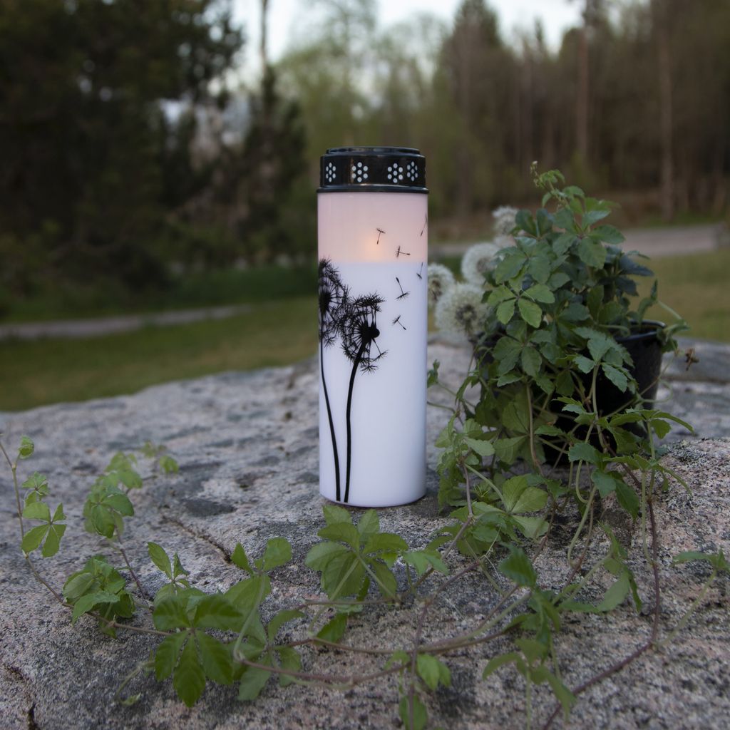 Star Trading LED Grabkerze, Gedenkkerze, Dandelion‘, Timer, Produktbild 4