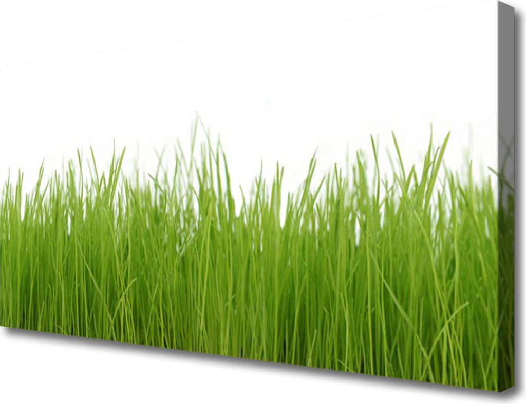Tulup Leinwand-Bilder 100x50 Wandbild Canvas Kunstdruck Gras Natur