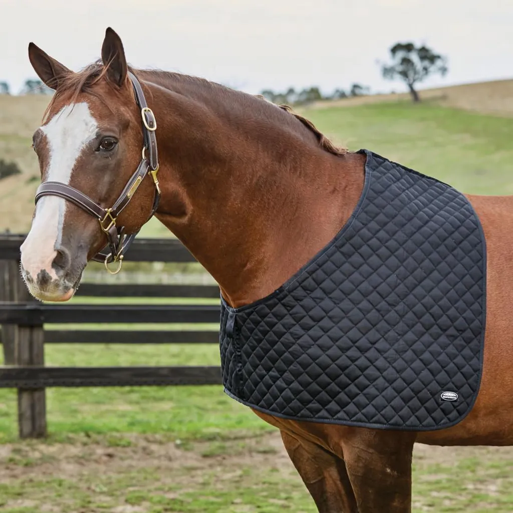Protection d'épaule Weatherbeeta Deluxe noire pour le confort du cheval