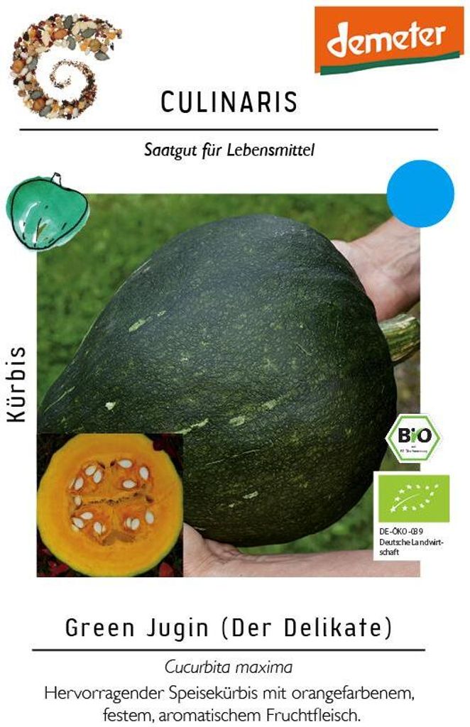 Kürbis Green Jugin Speisekürbis mit festem Fruchtfleisch Produktbild 