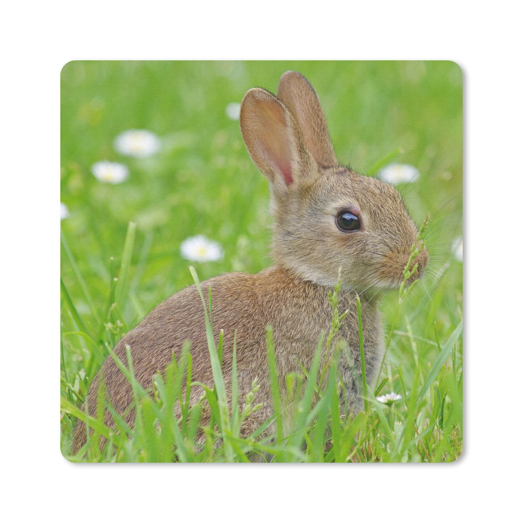 MuchoWow Mauspad Mousepad Kaninchen - Blumen - Gras 20x20 cm - Mousepads - Maus Mat - Pad - Mausunterlage - Desk Mat - Bureauartikeln