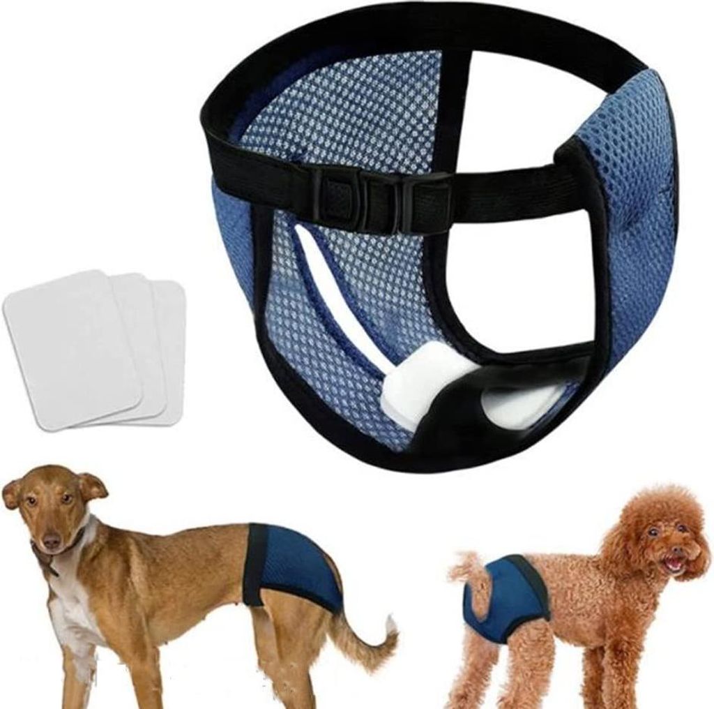 Hygienische Windelhose mit Handtüchern - Waschbar - Blau - Größe M - Hundepflege