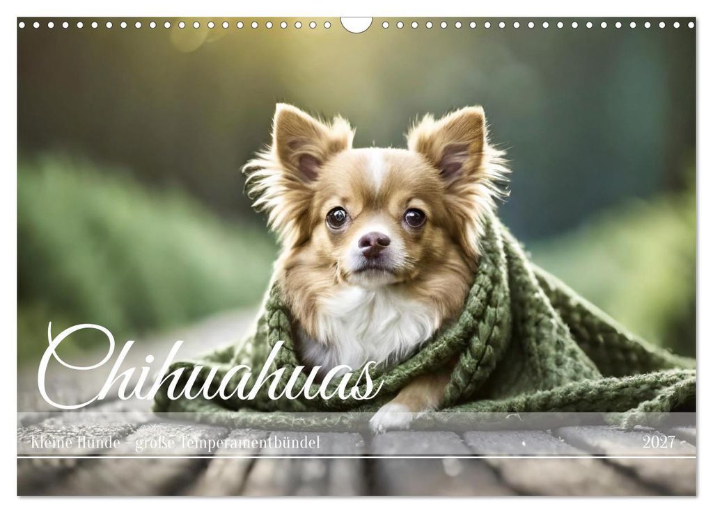 Chihuahuas - Kleine Hunde - große Temperamentbündel (Wandkalender 2027 DIN A3 quer), CALVENDO Monatskalender