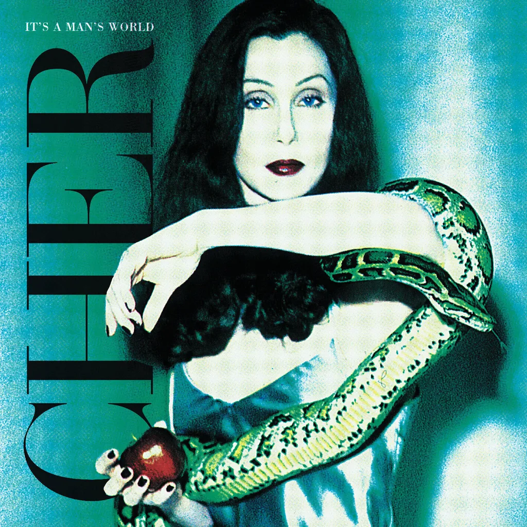 Cher - It's A Man's World Double Vinyle 2 LP Album Édition Collector