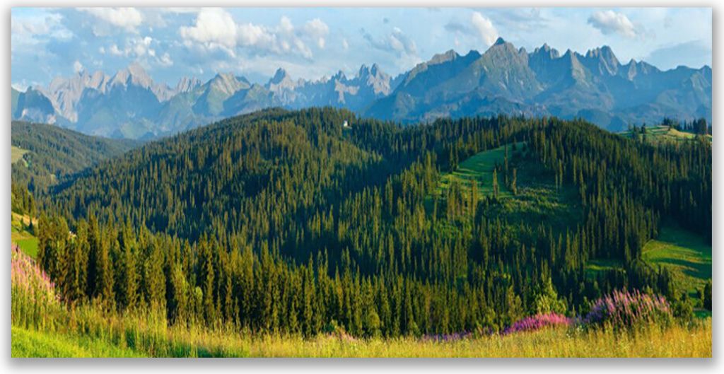 Glasbilder 140x70 Wandbild Druck auf Glas Gebirge Wald Natur