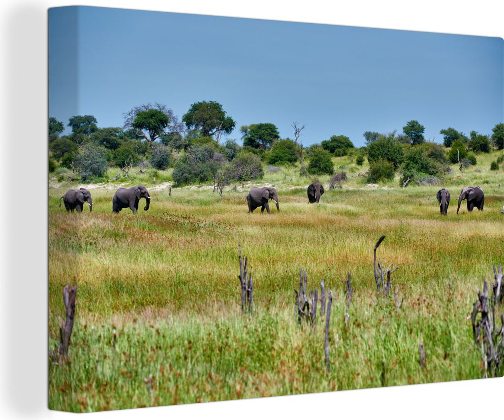 OneMillionCanvasses - Leinwandbilder - 140x90 cm, Herde afrikanischer Elefanten im Makgadikgadi Pans National Park, Wandbilder Kunstdruck Wanddek...