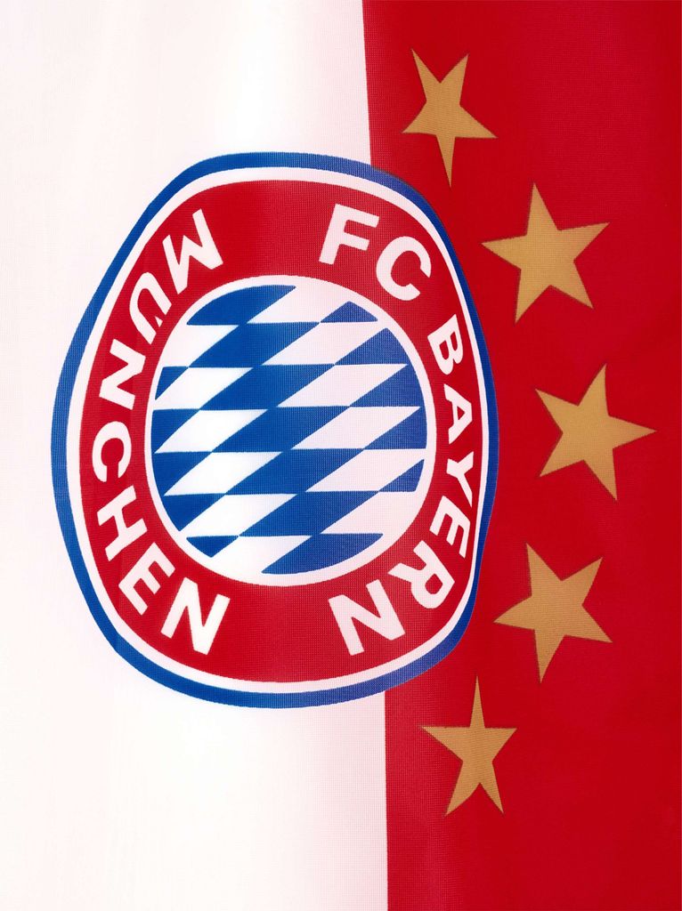 FC Bayern München Fahne Logo 150x100 cm/Flagge rot-weiß