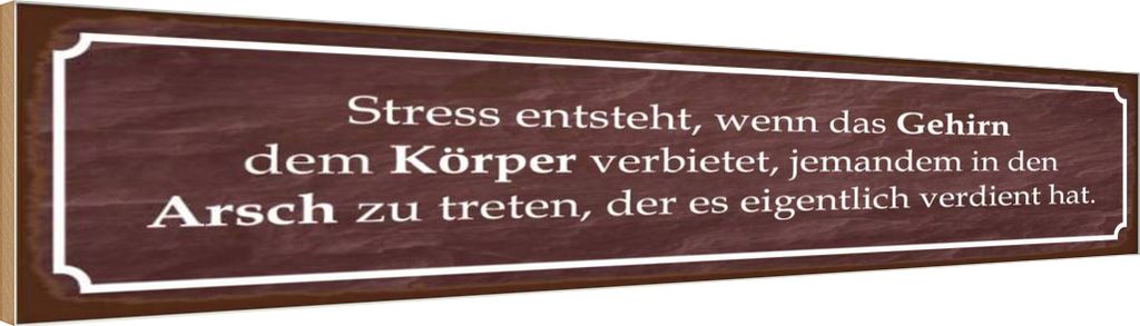 vianmo Holzschild 10x46 cm Stress entsteht wenn das Gehirn Spruch Zitat