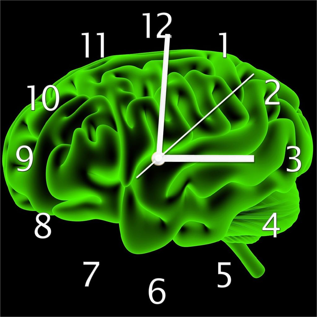 Wallario Design Wanduhr Menschliches Gehirn in leuchtend grüner Farbe aus Echtglas, Größe 30 x 30 cm