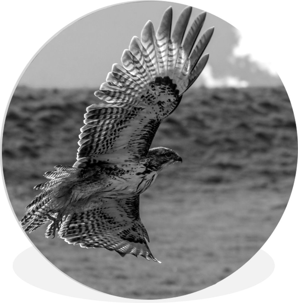 MuchoWow - Wand-Kreis - Wohnzimmer - Bild - Runde - Wanddeko - Dibond - Kunstdrucke