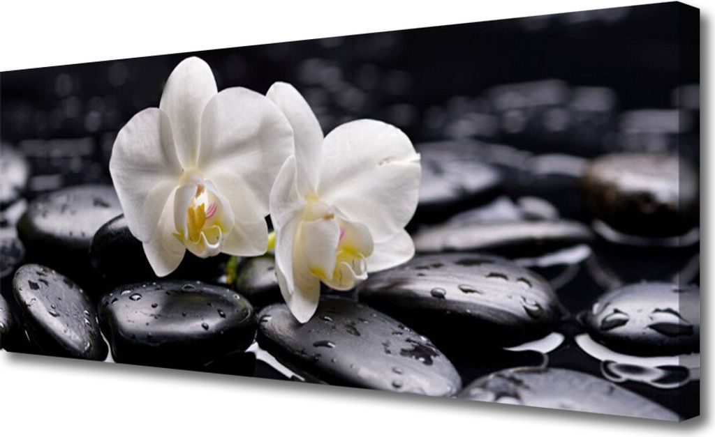 Tulup Leinwand-Bilder 125x50 Wandbild Canvas Kunstdruck Blumen Steine Kunst