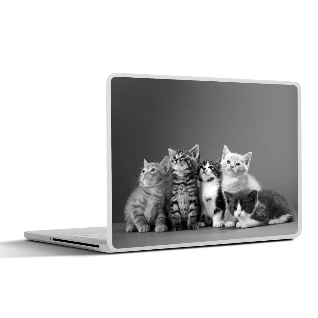 MuchoWow Laptop Aufkleber Sticker Cover Kätzchen - Blau - Rosa - Mädchen - Kinder - Jungen - Kind 36.5x27.5 cm - Laptop-Sticker
