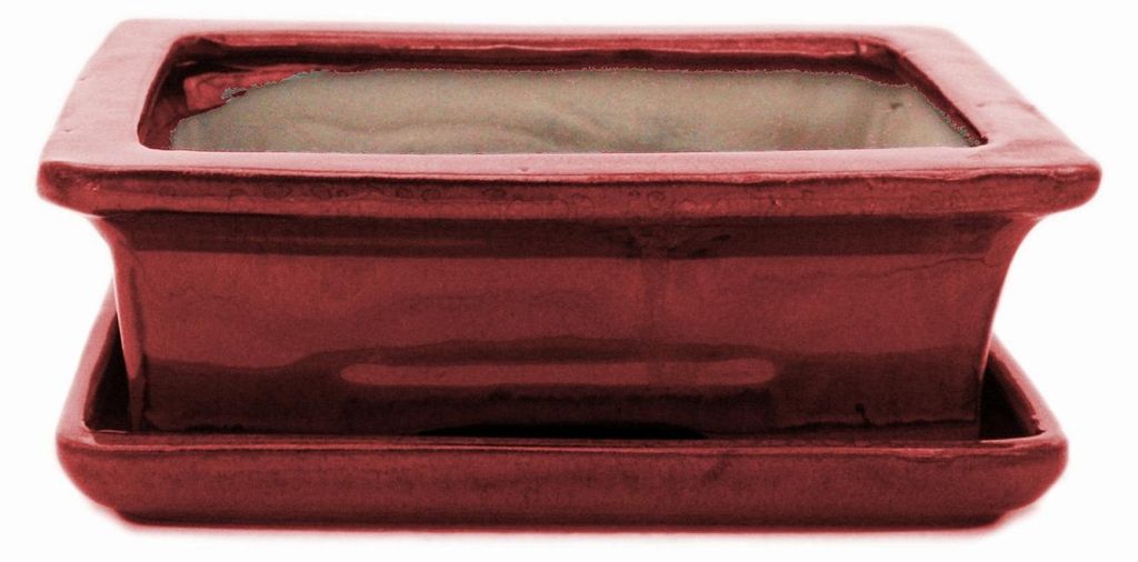 Ciotola bonsai con piattino Gr. 3 - rosso - quadrato - Immagine del prodotto 