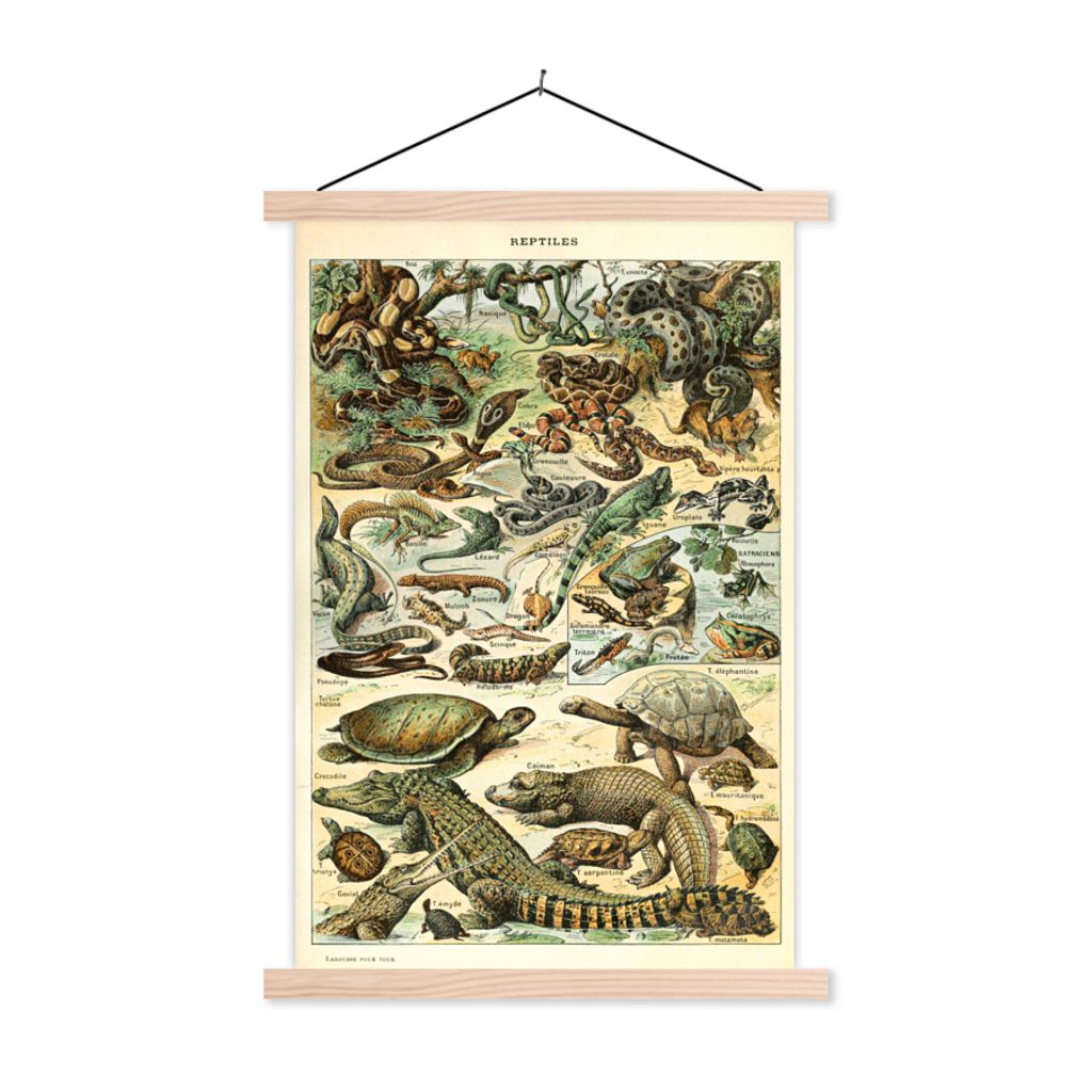 MuchoWow Textilposter Reptilien - Tiere - Natur 40x60 cm mit holzfarbenen Rahmen - Poster