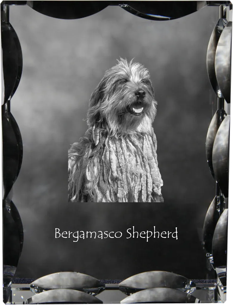 Statuetta Vetro Pastore di Bergamo Art-Dog - Cornice Cristallo con Foto