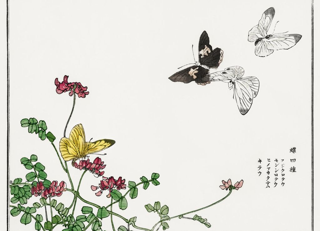 Poster 18x13cm Schmetterlinge und Blumen Morimoto Toko Japanisch Vintage für das Wohnzimmer