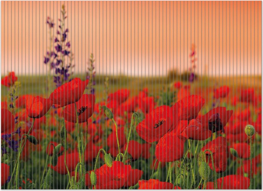 Wallario Duschmatte Antirutschmatte Badmatte Fußmatte Mohnblumen auf dem Feld, Größe ca. 90 x 65 cm