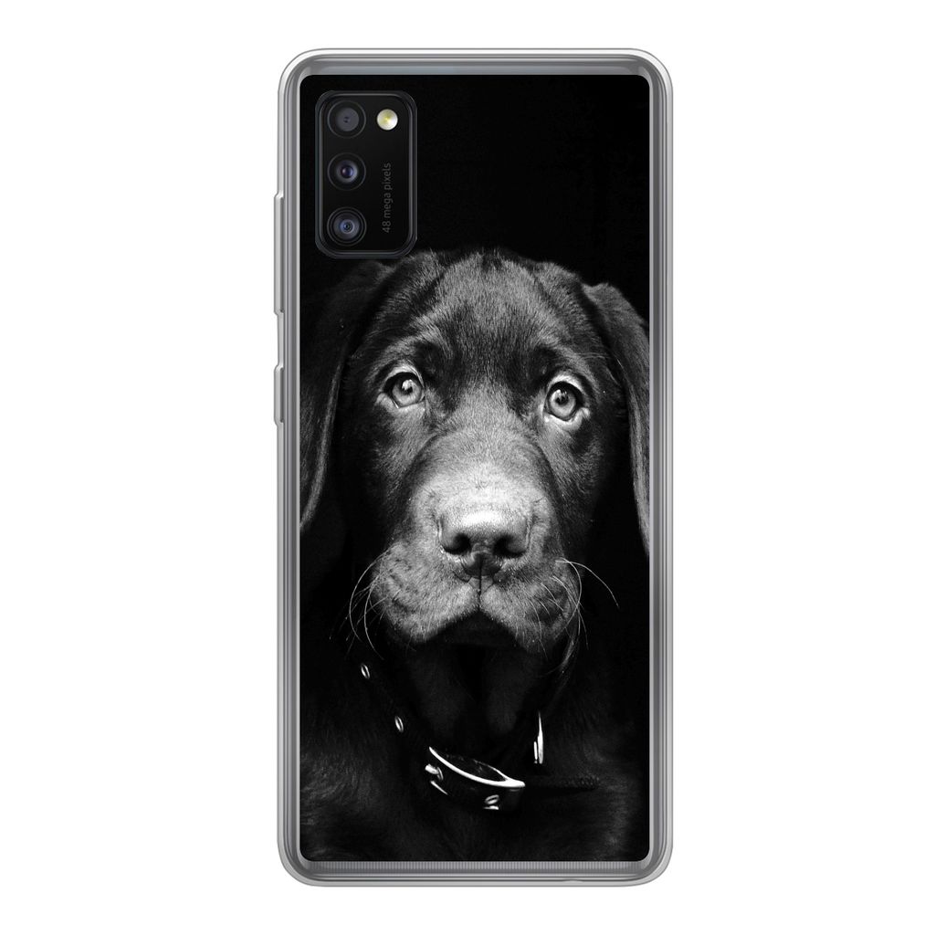 MuchoWow Handyhülle Schutzhülle Hülle für Samsung Galaxy A41 Nahaufnahme Labrador Welpe vor schwarzem Hintergrund in schwarz und weiß Siliko...