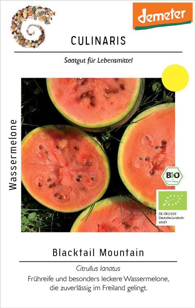 Artikelbild 2 von 'BIO Wassermelone Blacktail Mountain' aus der Kategorie Wassermelonensamen