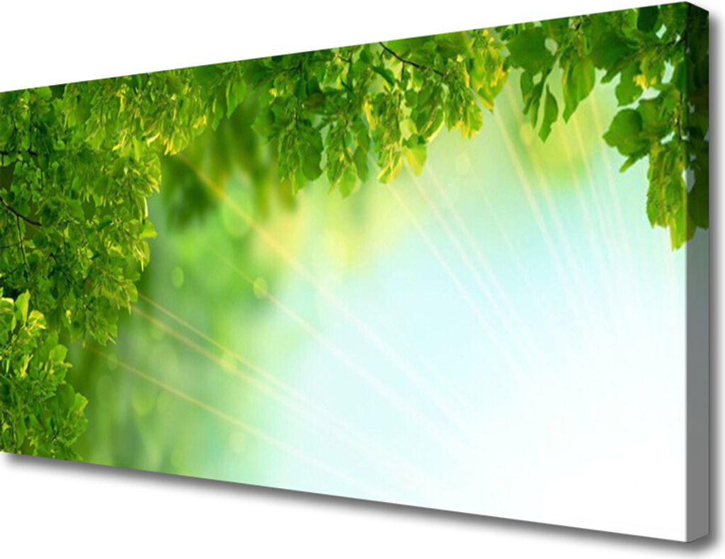 Tulup Leinwand-Bilder 100x50 Wandbild Canvas Kunstdruck Blätter Natur