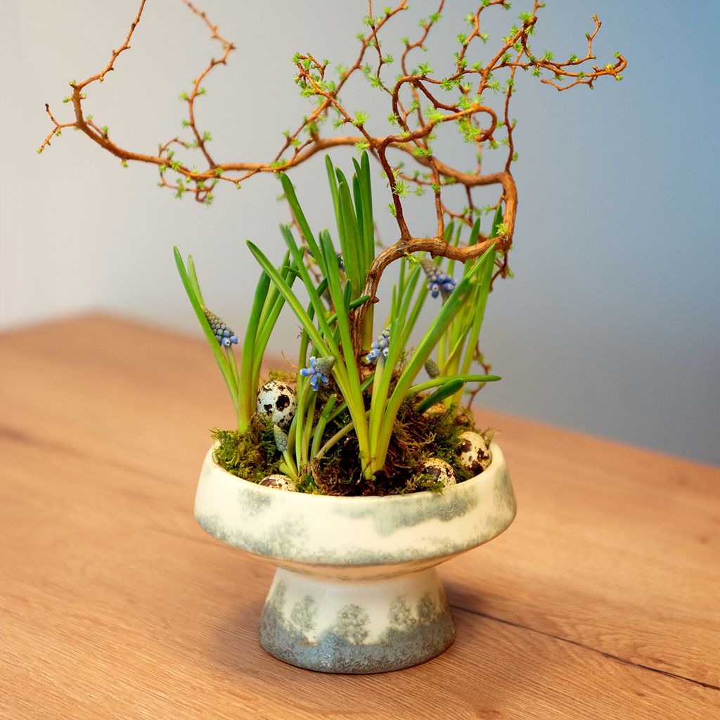Deko Schale Keramik Creme Graugrün mit Sockel Ø17cm 10cm - Rustikale Deko Landhaus Tischdeko Übertopf
