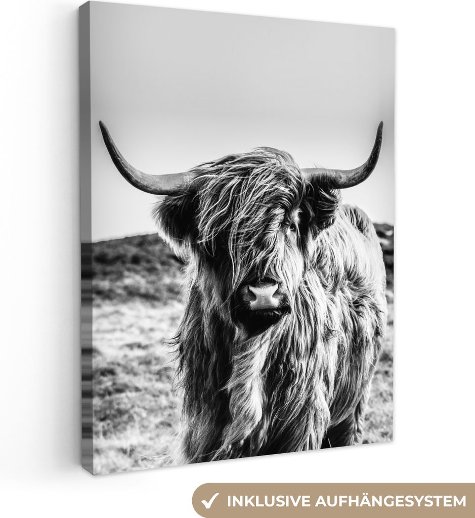 Leinwand Bilder 60x80 cm - Schottisches Hochlandrind, moderne Wanddeko für Wohnzimmer