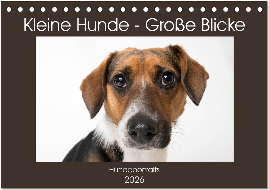 Kleine Hunde - Große Blicke (Tischkalender 2026 DIN A5 quer), CALVENDO Monatskalender