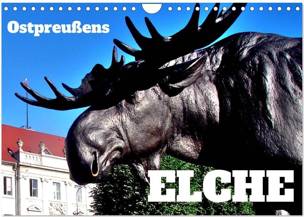 Ostpreußens Elche (Wandkalender 2026 DIN A4 quer), CALVENDO Monatskalender