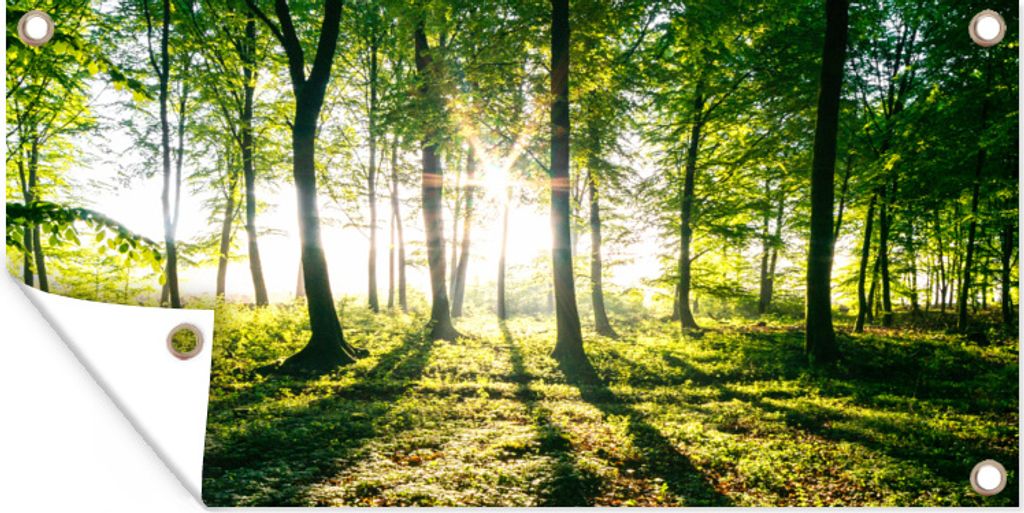 MuchoWow 80x40 cm Outdoor-Poster Gartendeko Sichtschutz Garten Poster für den Garten Die Sonne bricht durch die Wälder des Nationalparks Söder...