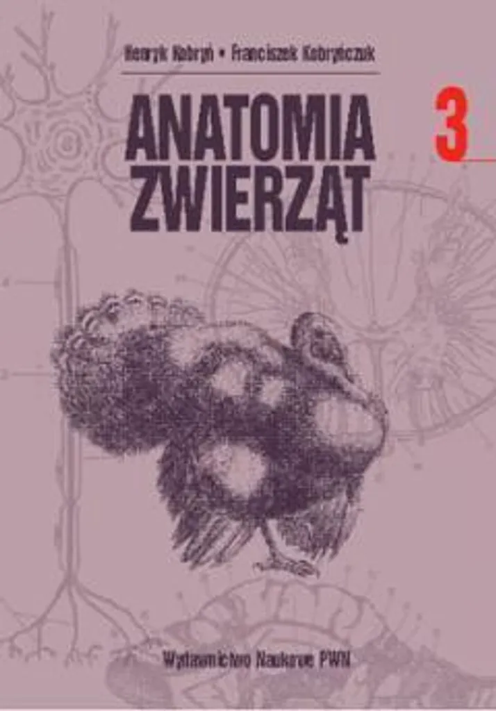 Anatomie animale Vol 3 Kobryń - Schémas détaillés et textes techniques - 2
