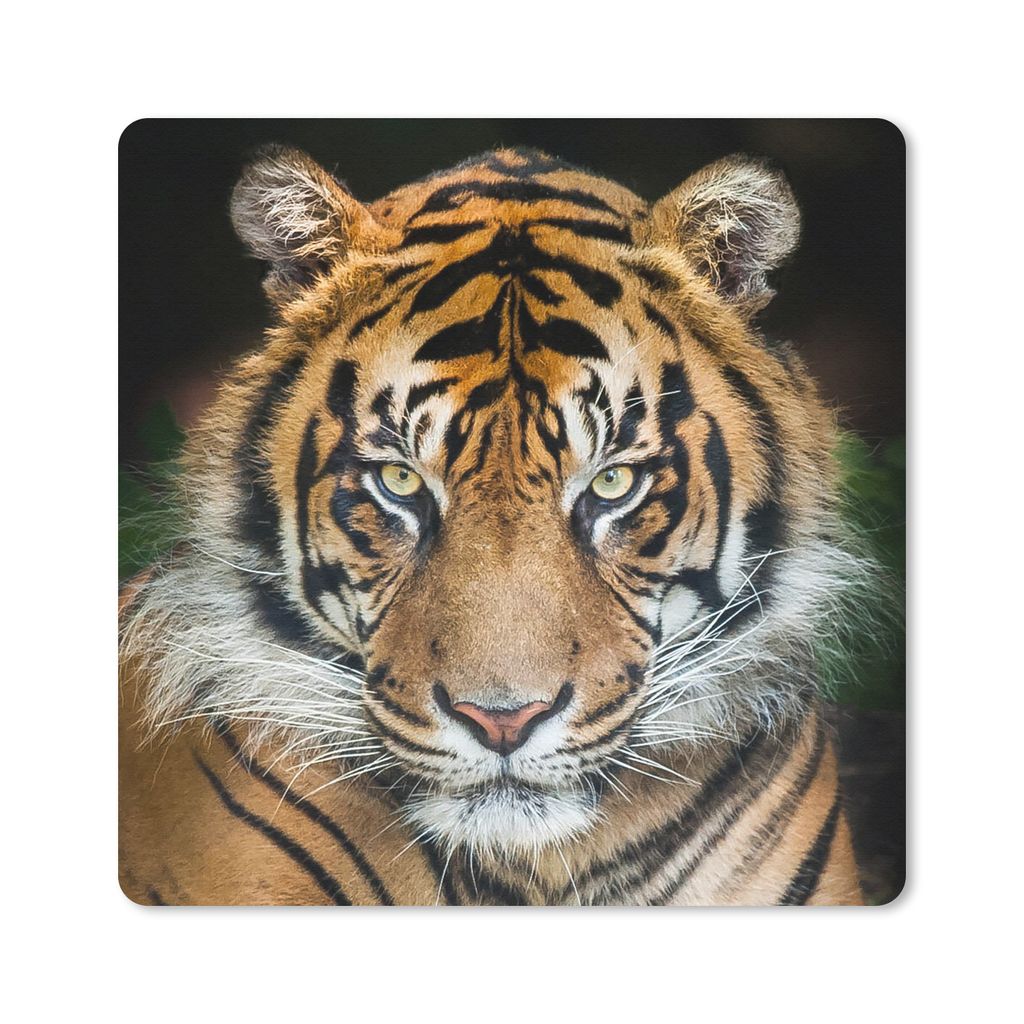 MuchoWow Mauspad Mousepad Tiger - Schwarz 30x30 cm - Mousepads - Maus Mat - Pad - Mausunterlage - Gaming