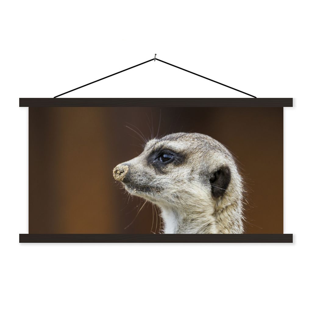 MuchoWow Textilposter Erdmännchen - Tier - Spiel 60x30 cm mit schwarzem Rahmen - Textilien