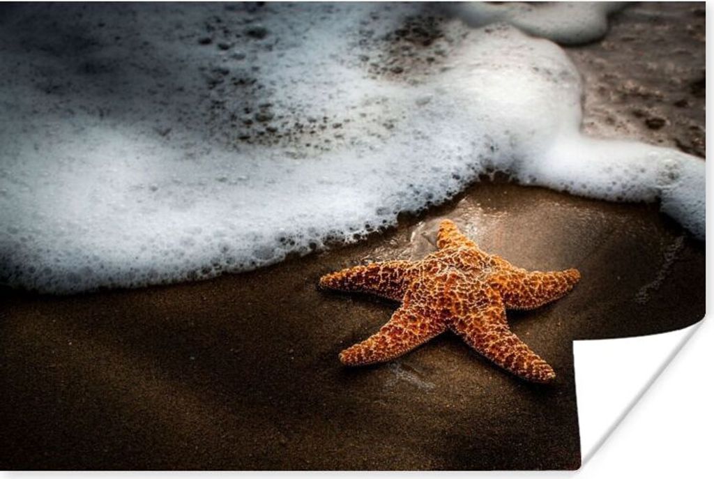 MuchoWow Poster Seestern - Sand - Wasser 60x40 cm - Schlafzimmerdekoration